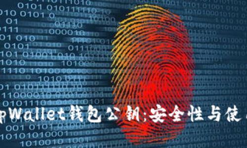 揭秘tpWallet钱包公钥：安全性与使用指南