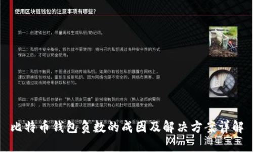 比特币钱包负数的成因及解决方案详解