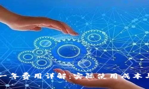 tpWallet一年费用详解：实际使用成本与注意事项