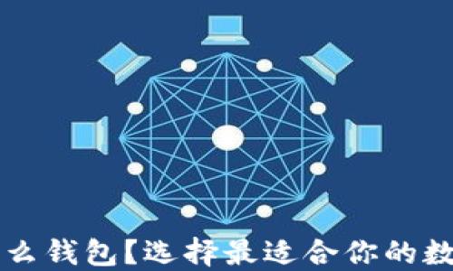 
虚拟币充值用什么钱包？选择最适合你的数字货币钱包指南
