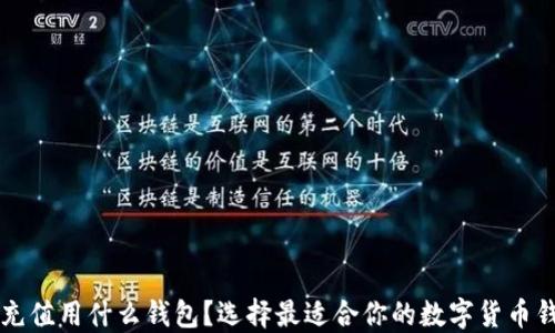 
虚拟币充值用什么钱包？选择最适合你的数字货币钱包指南