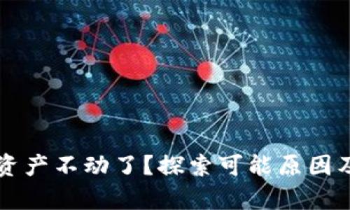 tpWallet资产不动了？探索可能原因及解决方案