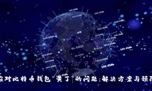 如何应对比特币钱包“黄了”的问题：解决方案与预防措施