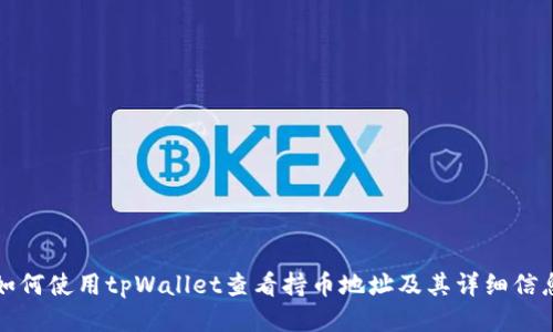如何使用tpWallet查看持币地址及其详细信息