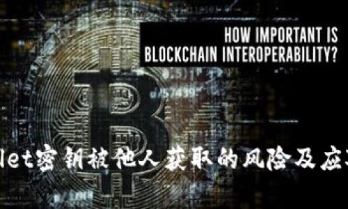tpWallet密钥被他人获取的风险及应对策略