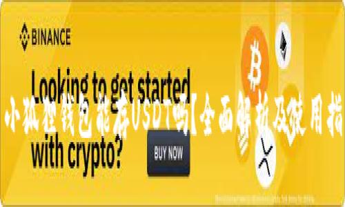 : 小狐狸钱包能存USDT吗？全面解析及使用指南