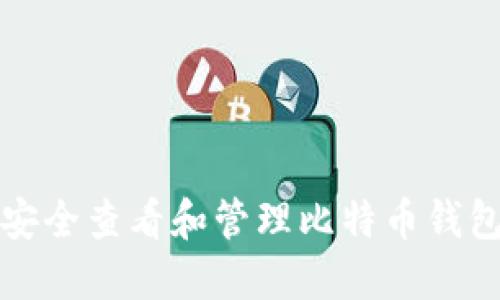 如何安全查看和管理比特币钱包私钥
