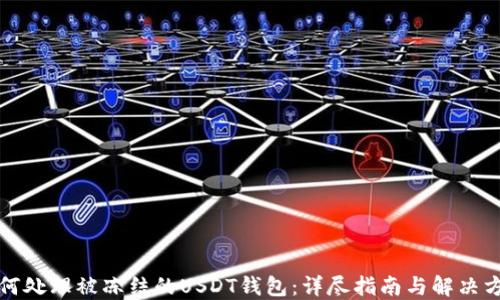 
如何处理被冻结的USDT钱包：详尽指南与解决方案