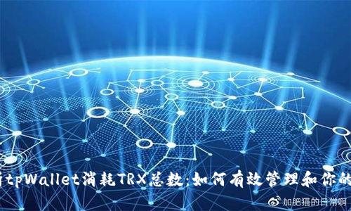 全面解析tpWallet消耗TRX总数：如何有效管理和你的TRX资产