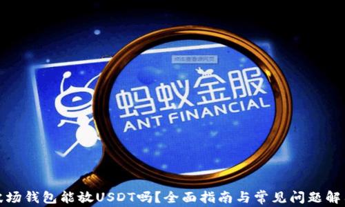 
波场钱包能放USDT吗？全面指南与常见问题解答