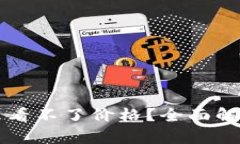 tpWallet怎么看不了价格？全