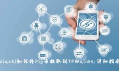 ziaoti如何将Pig币提取到TPWallet：详细指南