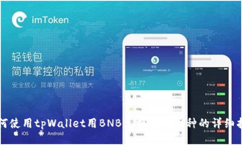 如何使用tpWallet用BNB兑换其他币种的详细指南