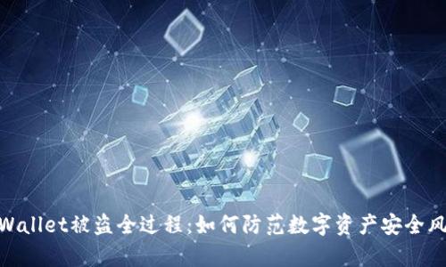 tpWallet被盗全过程：如何防范数字资产安全风险