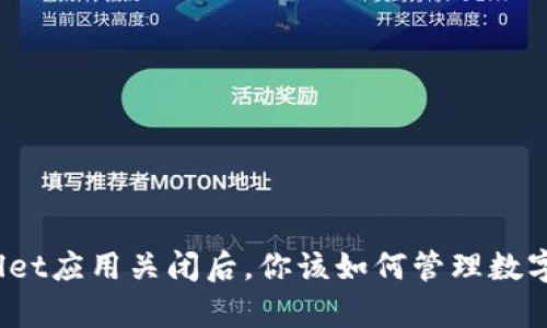 tpWallet应用关闭后，你该如何管理数字资产？