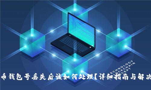 比特币钱包号丢失后该如何处理？详细指南与解决方案