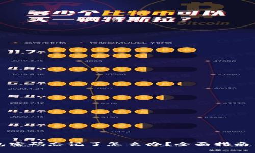 比特币钱包密码忘记了怎么办？全面指南与解决方案