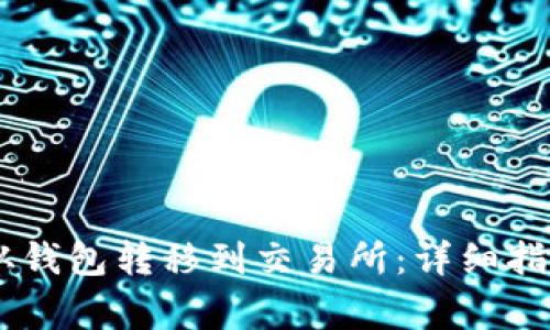 如何将USDT从钱包转移到交易所：详细指南与注意事项