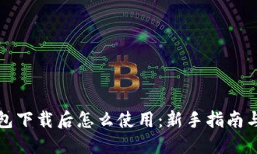 比特币钱包下载后怎么使用：新手指南与实用技巧
