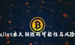 tpWallet永久销毁的可能性与风险解析