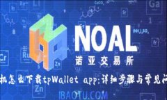 苹果手机怎么下载tpWallet app：详细步骤与常见问