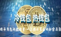 比特币钱包的数据量：一文揭示背后的秘密与影