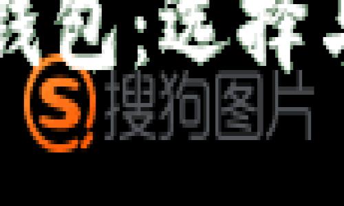 深入了解比特币分叉币钱包：选择与安全性并重的最佳方案