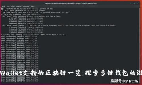 tpWallet支持的区块链一览：探索多链钱包的潜力