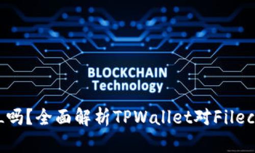 tpWallet支持FIL吗？全面解析TPWallet对Filecoin的支持与优势