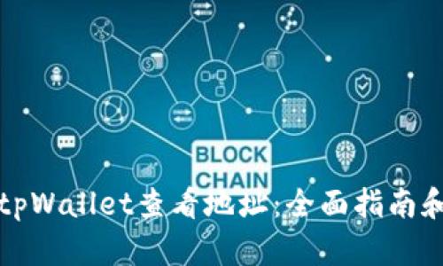 如何使用tpWallet查看地址：全面指南和实用技巧