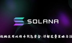 如何高效地使用比特币钱包资金：详解花费策略