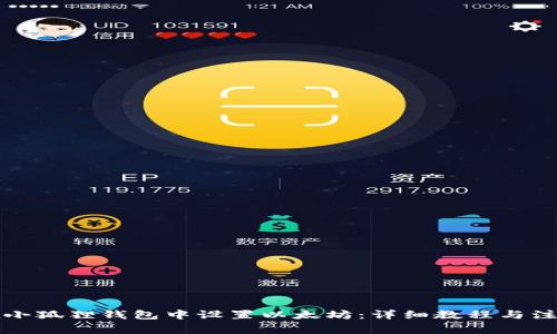 如何在小狐狸钱包中设置以太坊：详细教程与注意事项