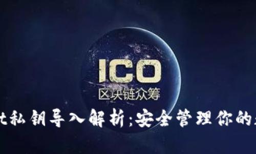 tpWallet私钥导入解析：安全管理你的数字资产