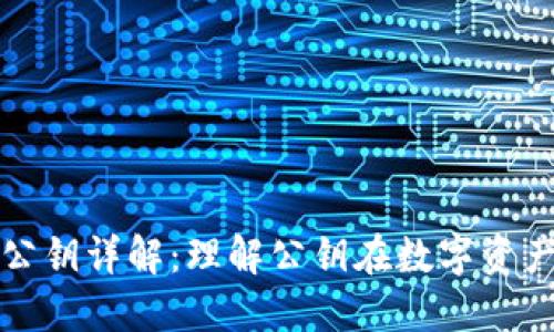 以太坊钱包公钥详解：理解公钥在数字资产中的重要性