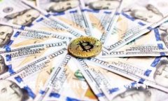 如何查看虚拟钱包中未添加的币种