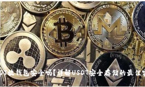 USDT放钱包安全吗？详解USDT安全存储的最佳实践