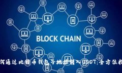 如何通过比特币钱包子地址转入USDT：全方位指南