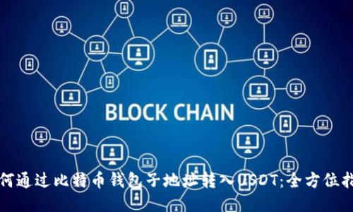 如何通过比特币钱包子地址转入USDT：全方位指南