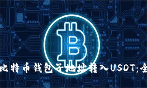 如何通过比特币钱包子地址转入USDT：全方位指南