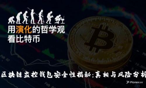 区块链监控钱包安全性揭秘：真相与风险分析
