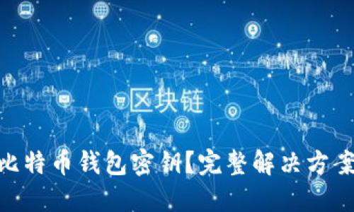 : 如何找回比特币钱包密钥？完整解决方案与预防措施