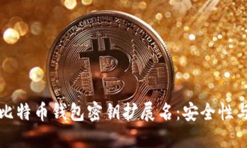 全面了解比特币钱包密钥扩展名：安全性与管理技巧
