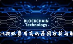 tpWallet提现费用高的原因分析与解决方案