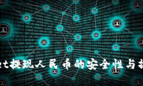 tpWallet提现人民币的安全性与操作指南