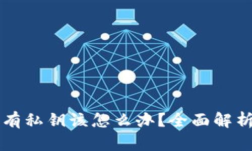 tpWallet没有私钥该怎么办？全面解析与解决方案