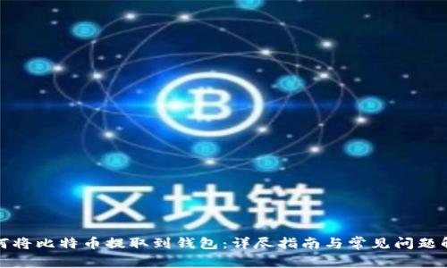 如何将比特币提取到钱包：详尽指南与常见问题解答