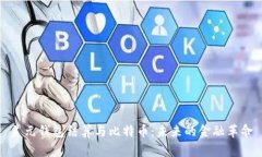 美元钱包结算与比特币：未来的金融革命