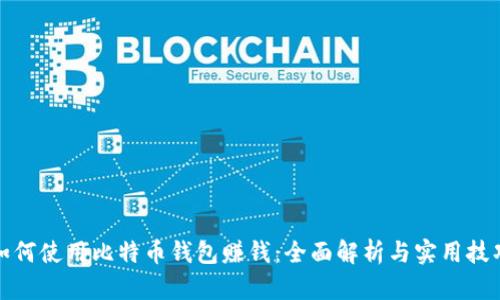 如何使用比特币钱包赚钱：全面解析与实用技巧