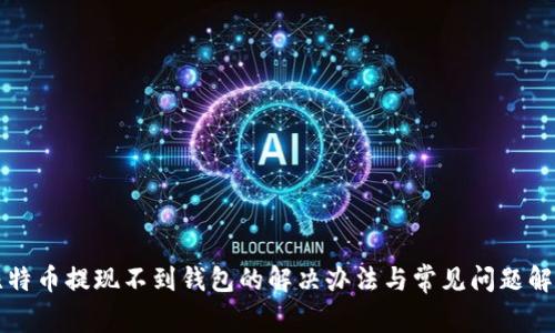比特币提现不到钱包的解决办法与常见问题解析