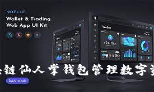 如何使用区块链仙人掌钱包管理数字资产：全面指南